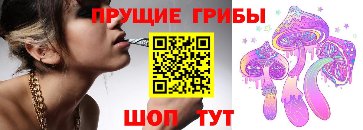 Сосновоборск  закладка  Вход с VPN  Псилоцибиновые грибы мицелий 